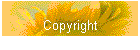 Copyright